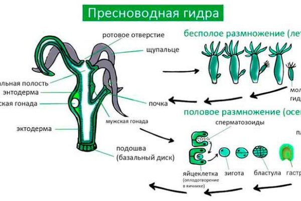 Кракен работает