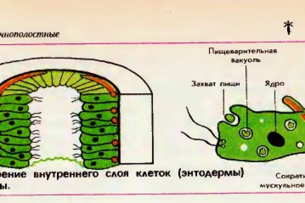 Как отличить оригинальный сайт кракена