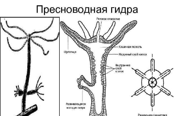 Kraken это что такое