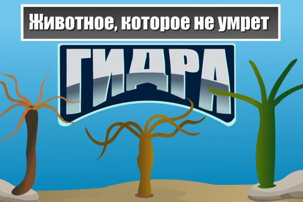 Ссылка на кракен kr2link co