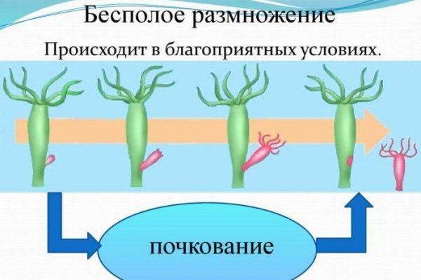Кракен актуальная