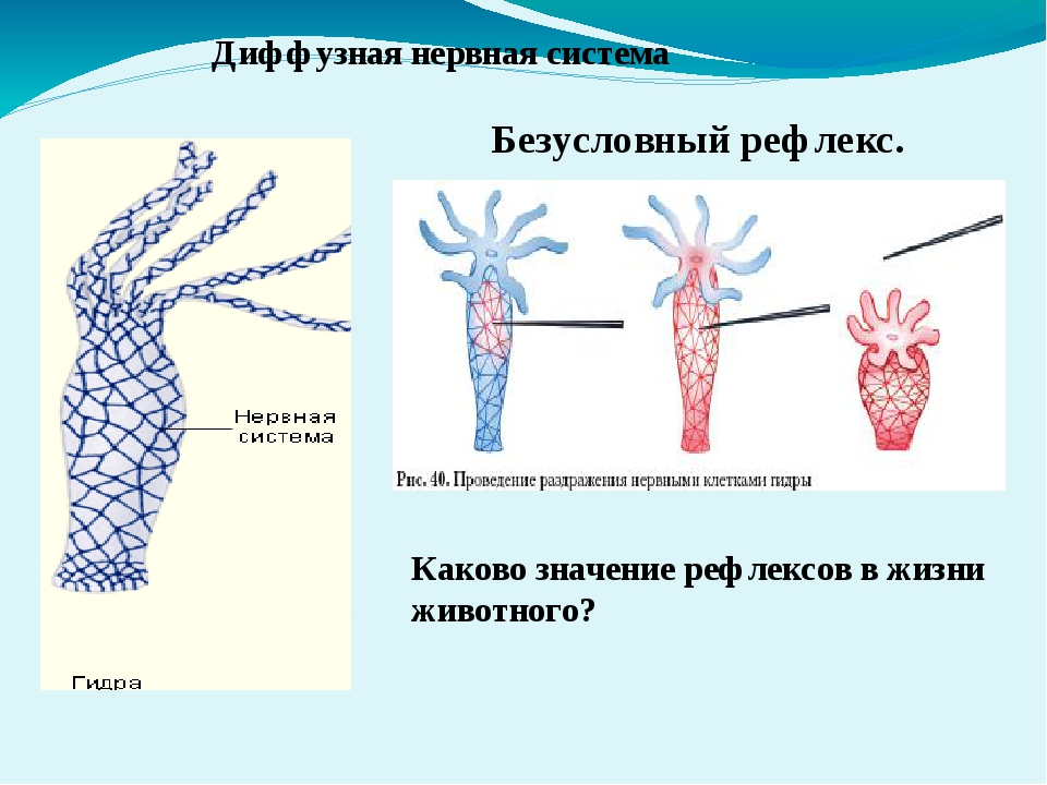 Маркетплейс кракен kraken